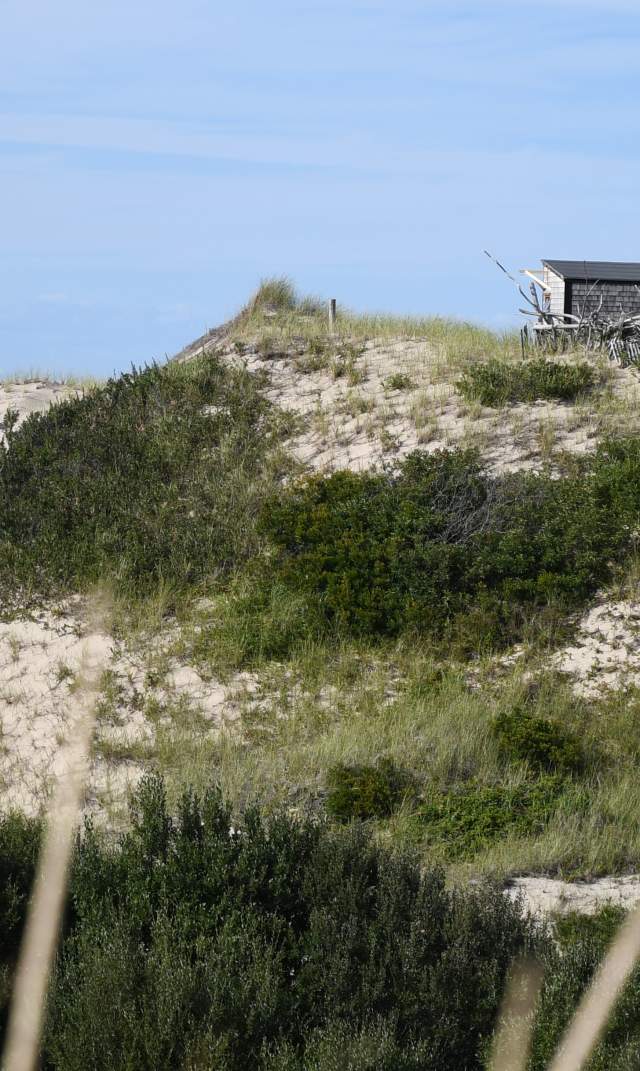 Dune Shacks of Cape Cod