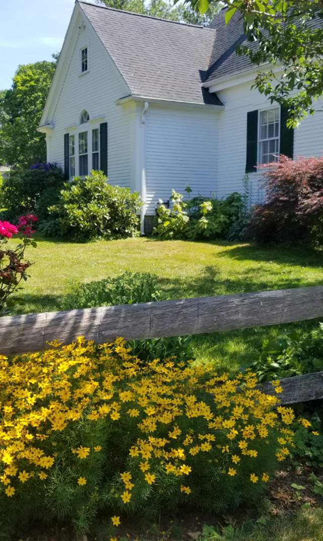 hydrangea fest