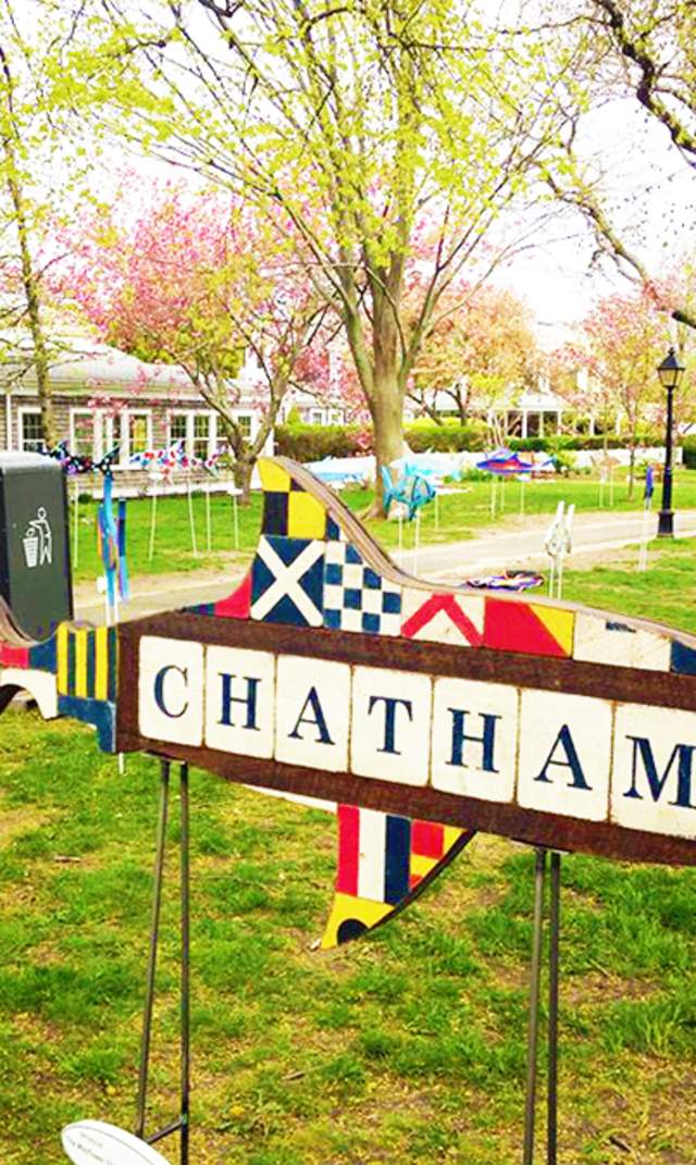 Chatham Sharks