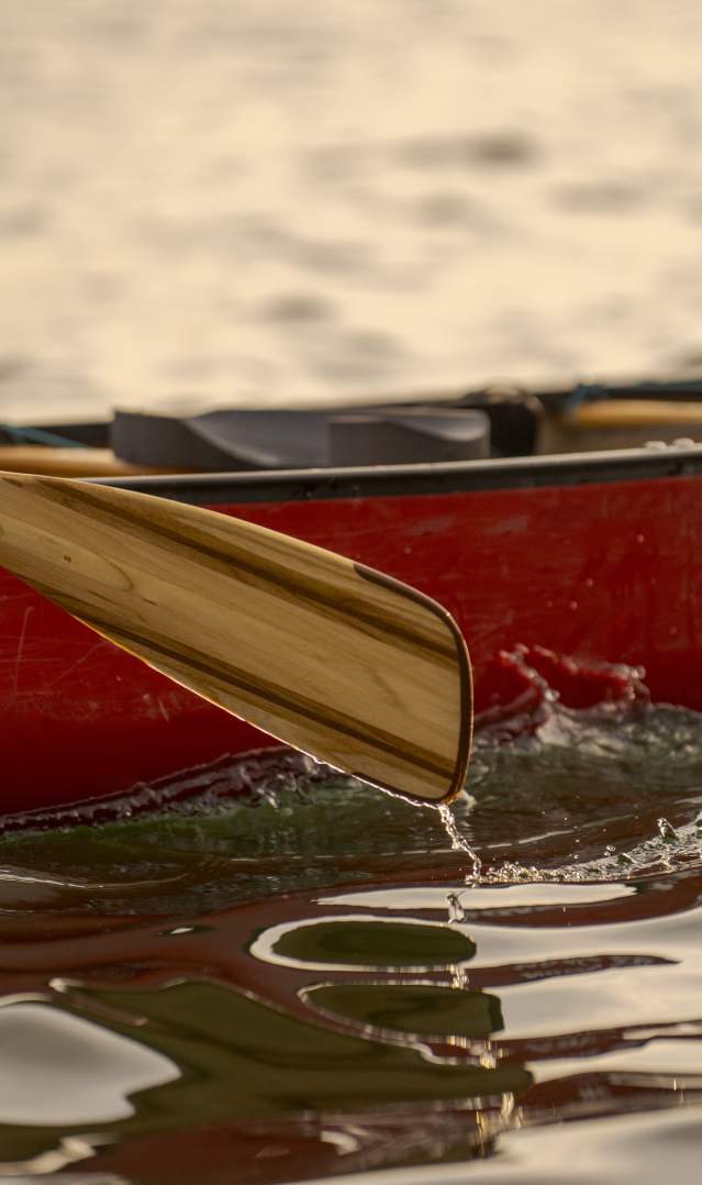 A close-up of a paddle and canoe on the water