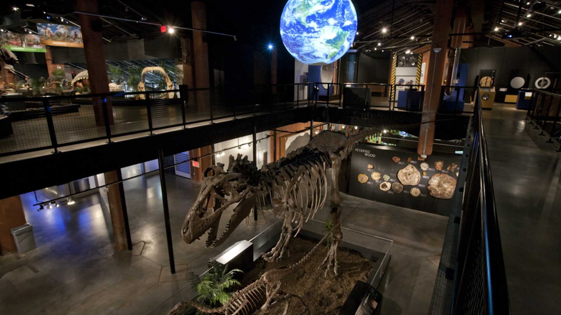 Sugar Land Museum of Natural Science