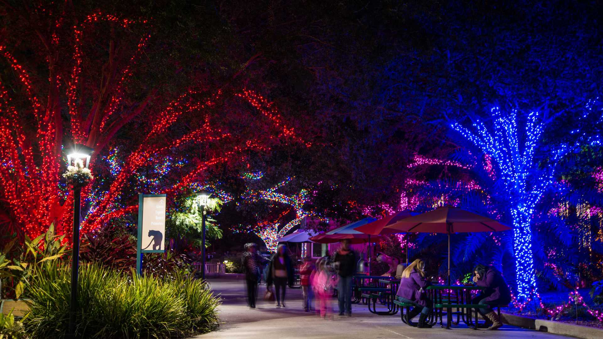 Holidays In Houston Find Christmas Events Concerts Festivals