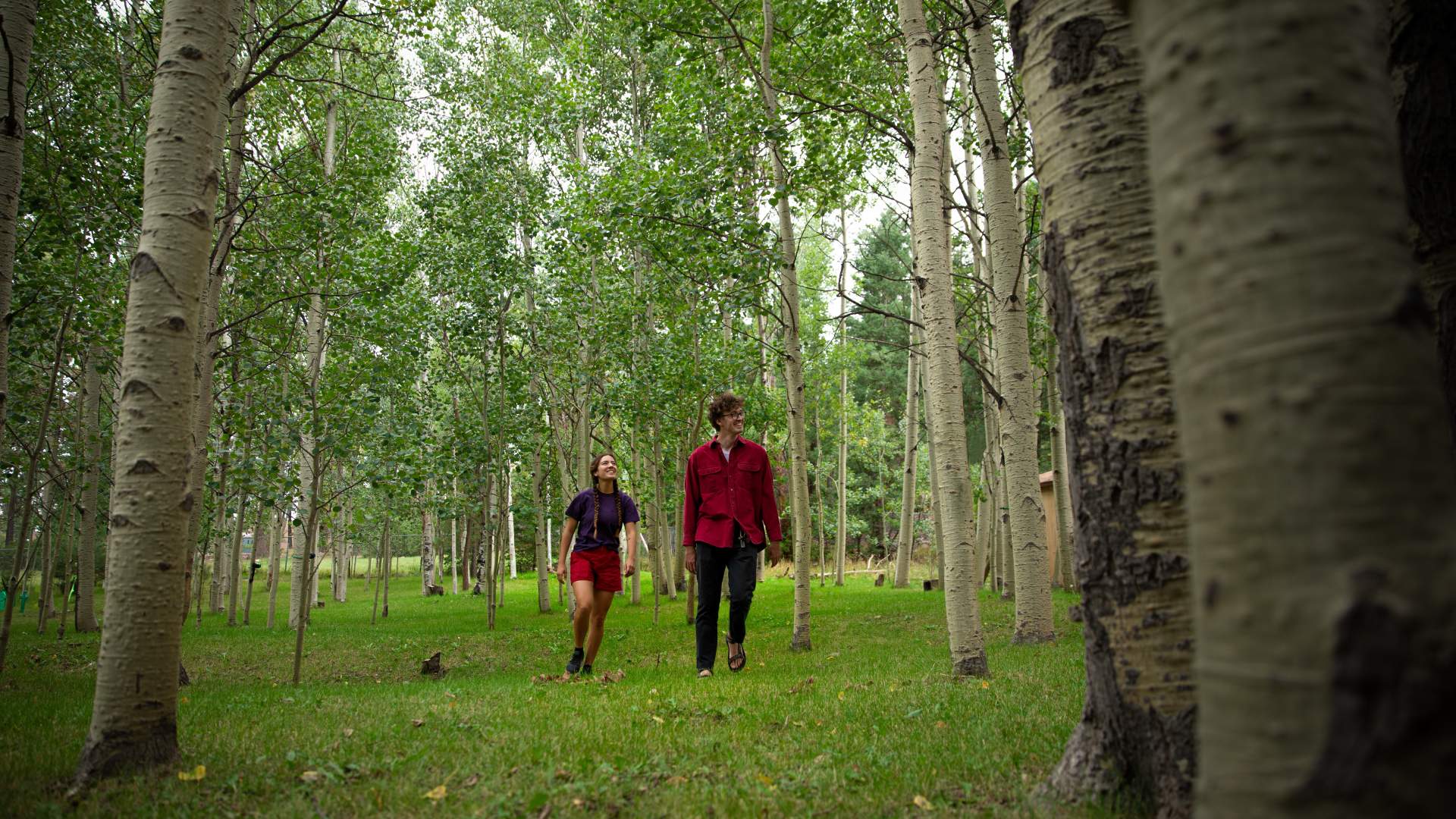 Cloudcroft, New Mexico: 9,000 Feet Above Stress Level