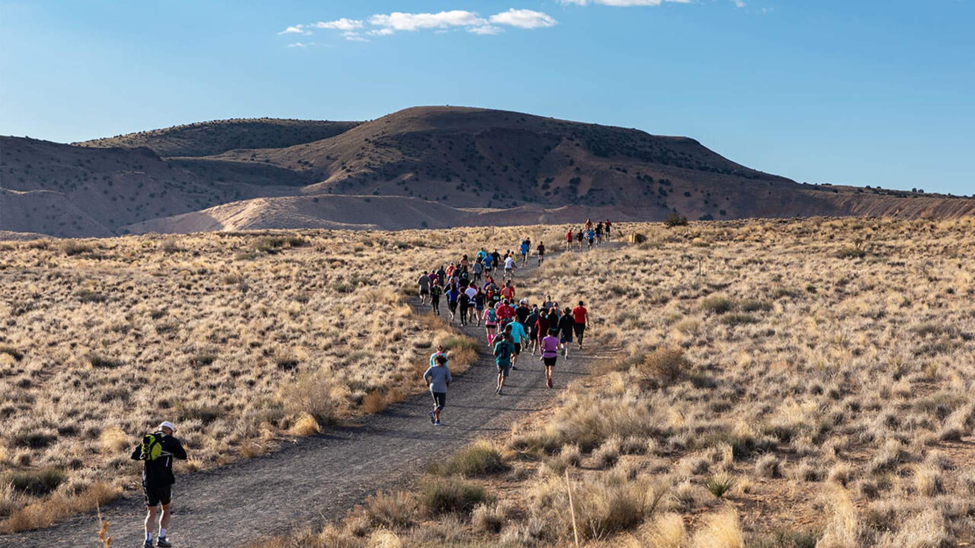 Vetco los lunas new mexico discount