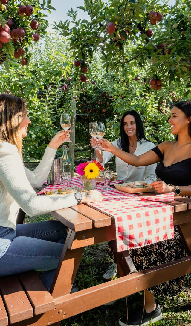 Explore Kelowna’s Wine Spots: 3 Experiences Beyond the Tasting Room