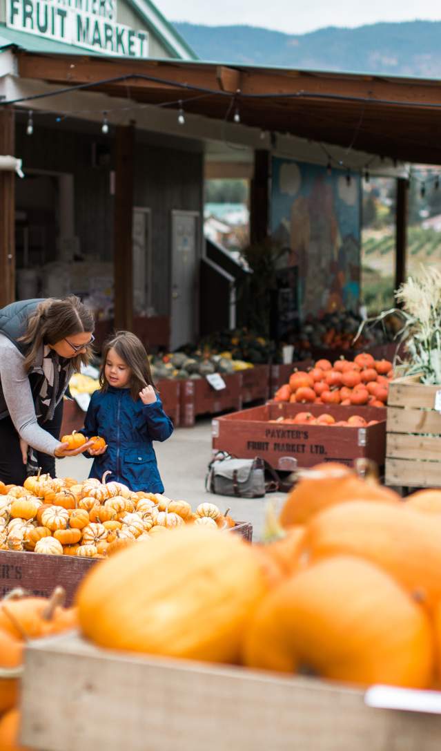 Family-Owned Orchards and Farm Markets to Visit This Fall in Kelowna and the Okanagan