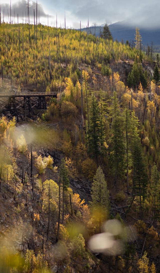 Top Kelowna Parks for Fall Strolls & Picnics