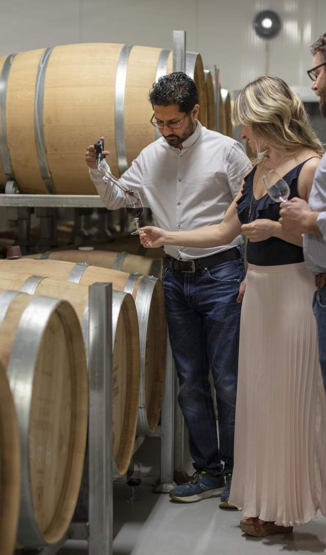 Behind the Scenes: Winery Tours and Experiences in Kelowna