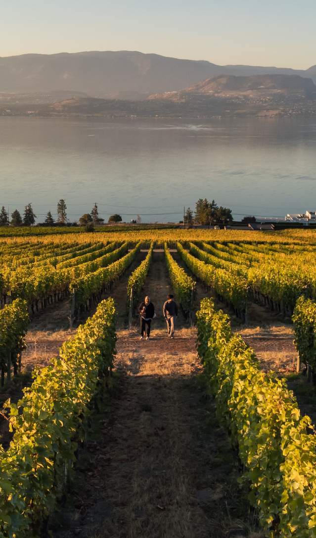 Fall Tasting Guide: Must-Visit Wine Spots in Kelowna & Surrounding Areas