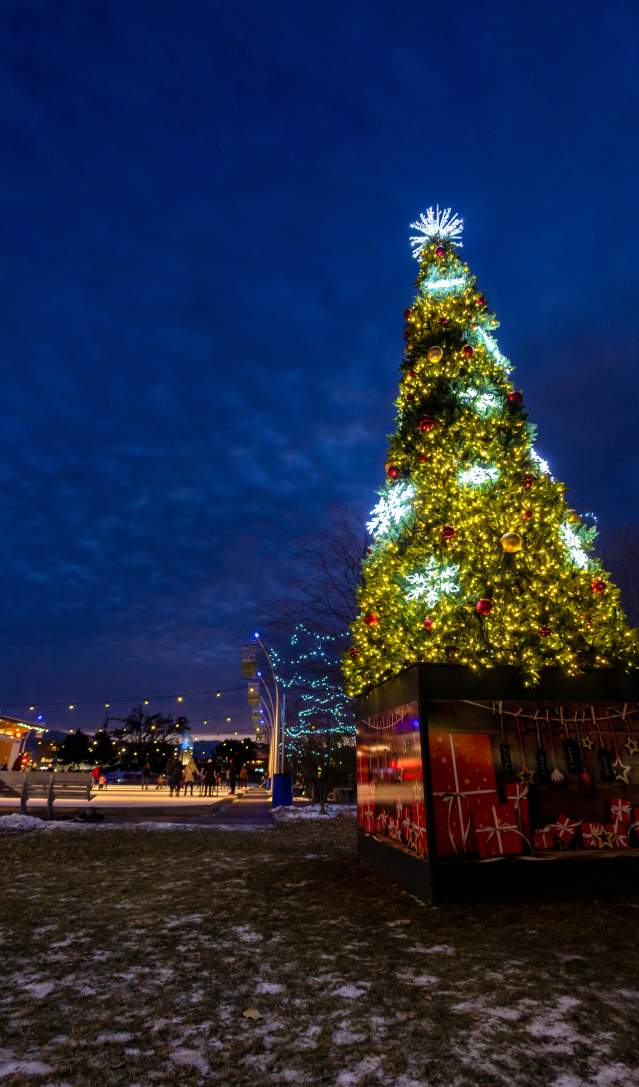 Holiday Cheer in Wine Country: Christmas Events at Kelowna and Area Wineries