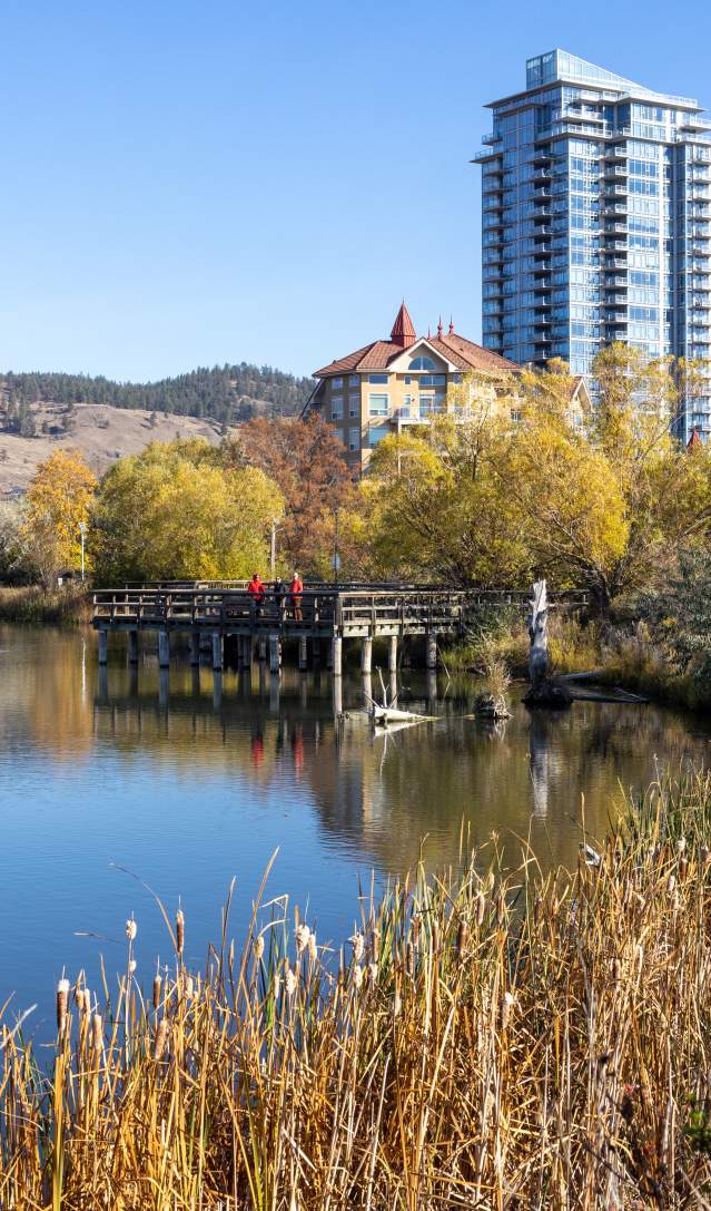 Where to Go Wildlife Watching in Kelowna: Top Nature Spots & Tips