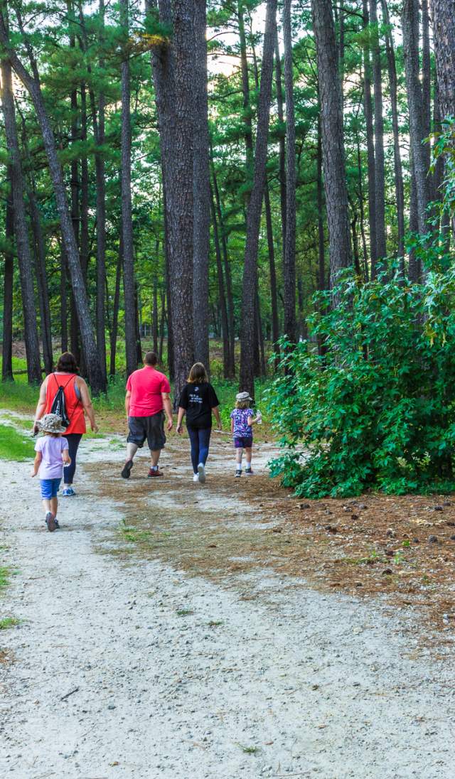 Carvers Creek State Park Walking