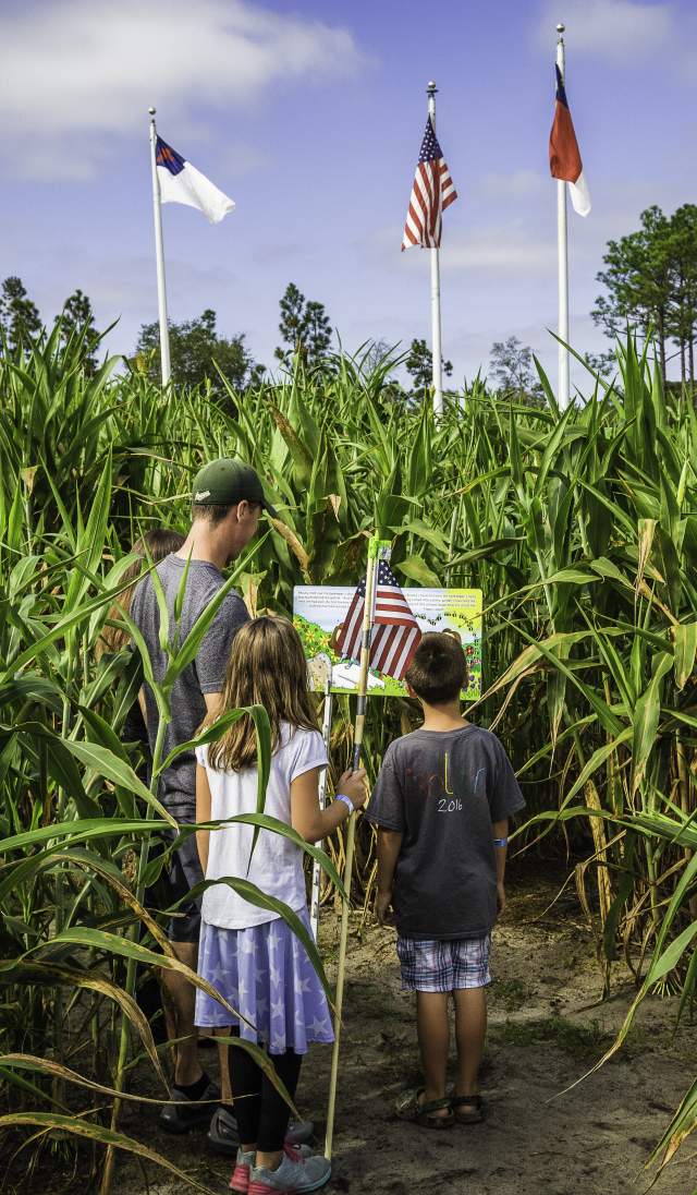 Family enjoying the Galberry Farm Corn Maze