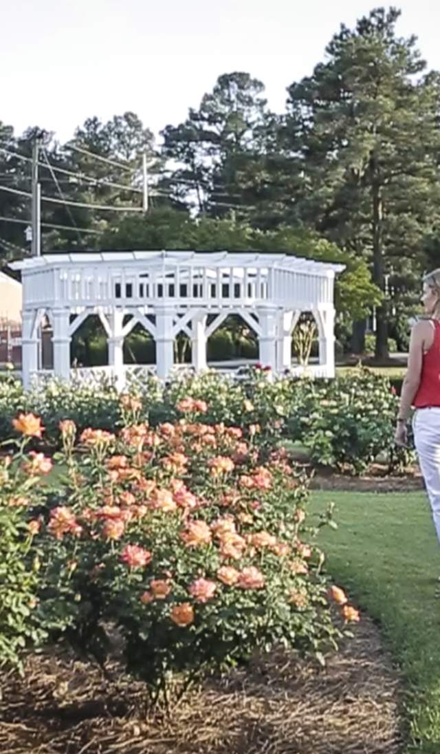 Young couple walking through Fayetteville Rose Garden