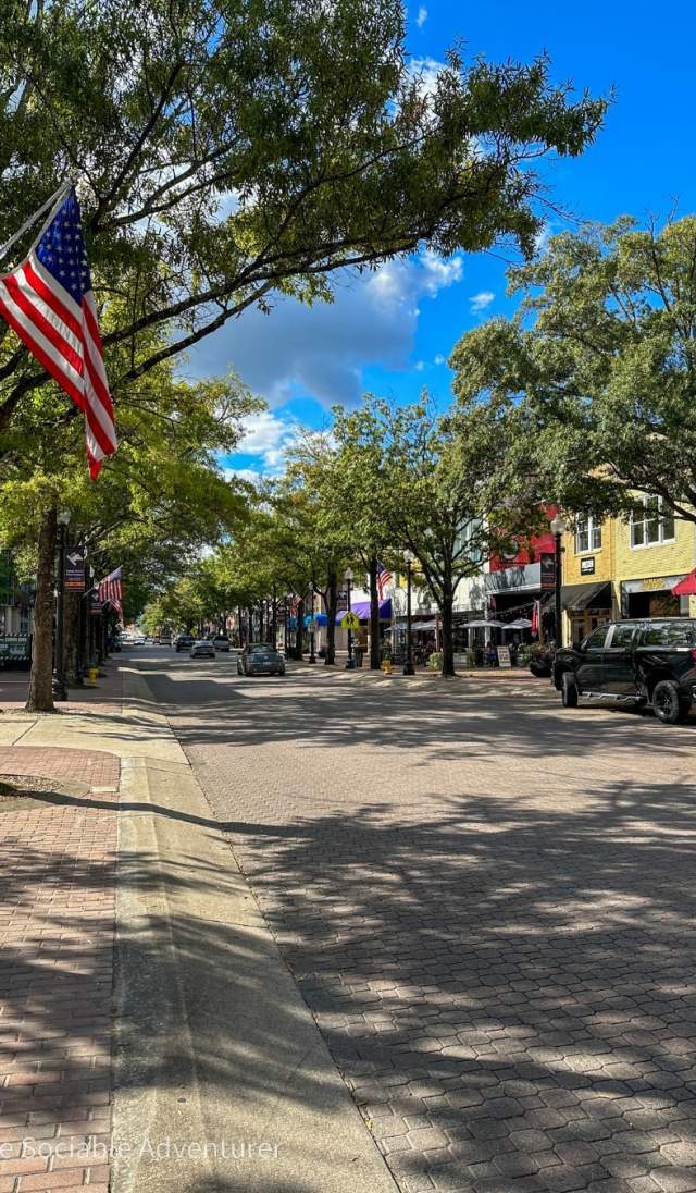 Hay Street with flags and shops
