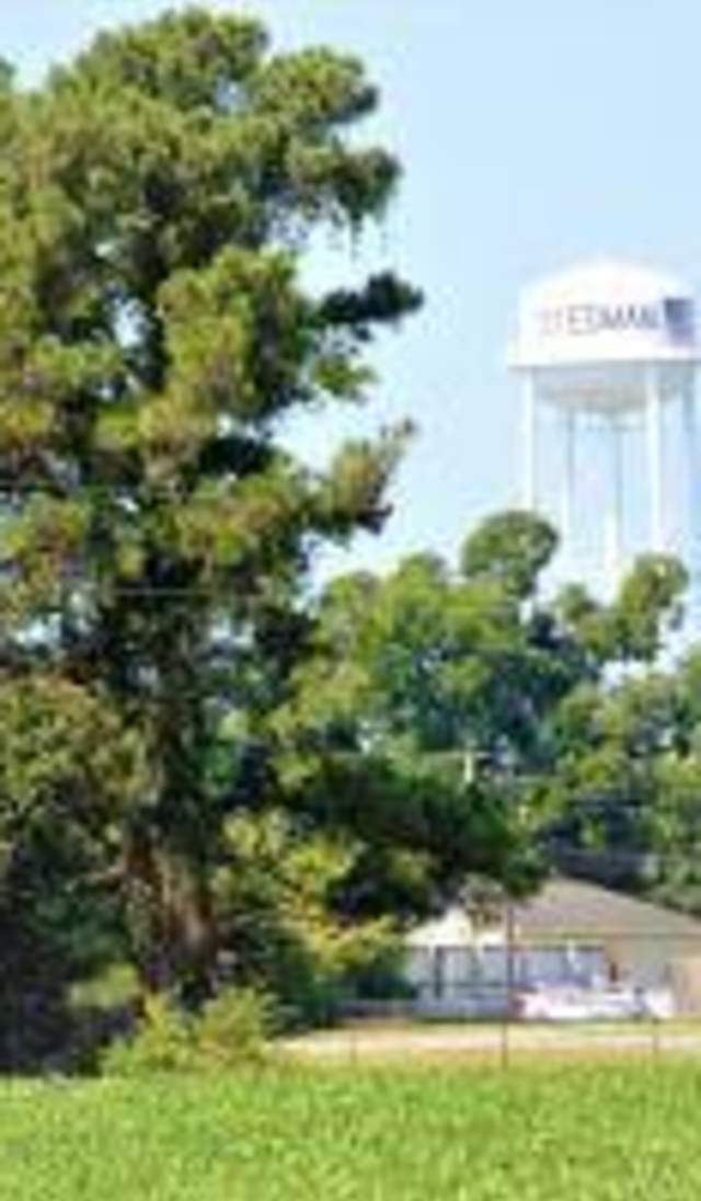 Stedman water tower