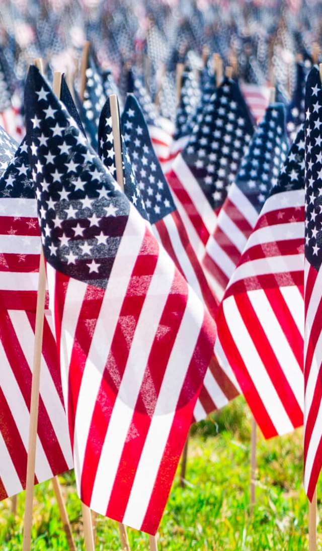 Memorial Day Flags