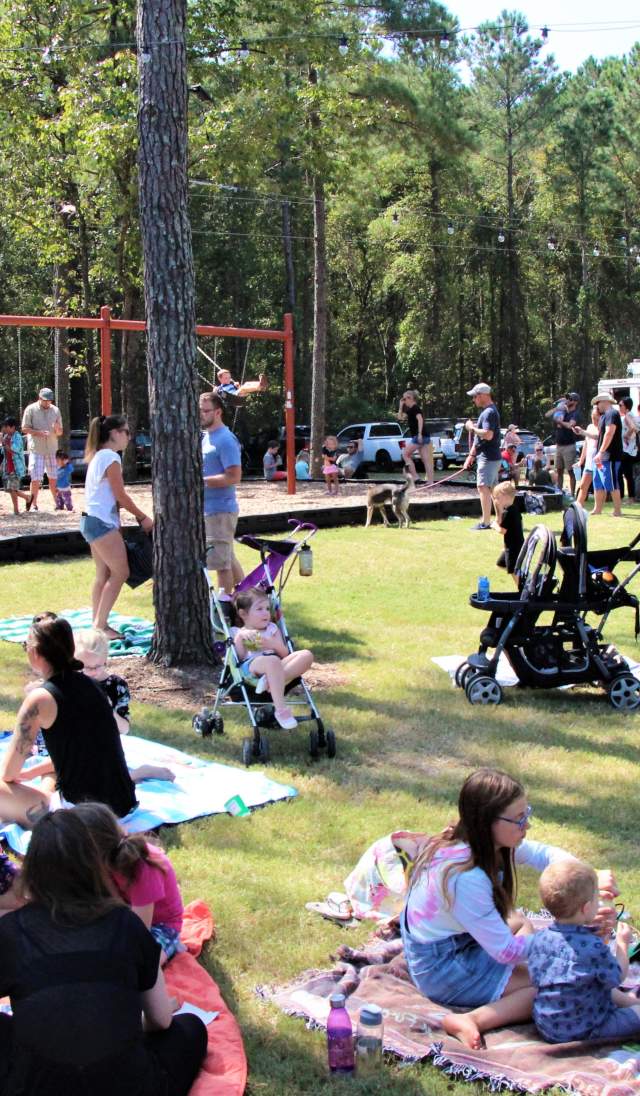 Families and attendees relaxing on blankets and lawn chairs during a DBA Blogger Meetup at an outdoor park setting