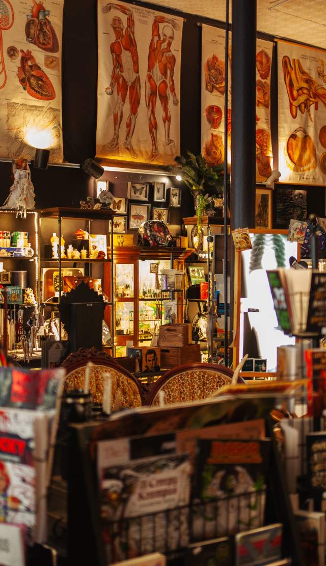 Inside the Oddity Parlor