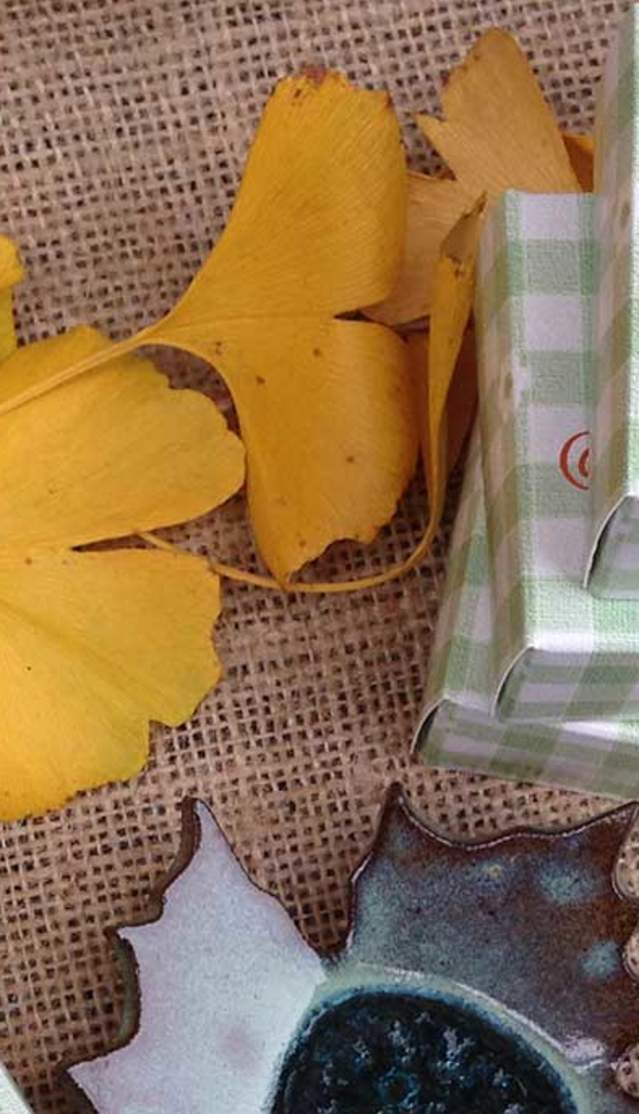 SHOPPING TOUR Visit Shenandoah County