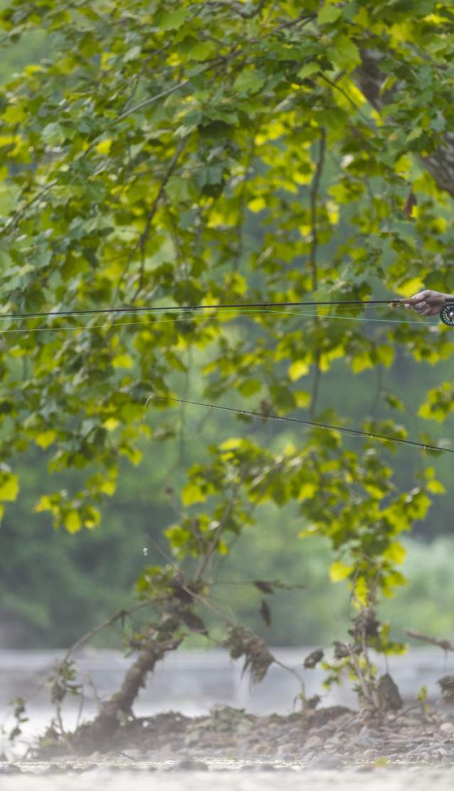 Fly_Fishing_SBSP_1