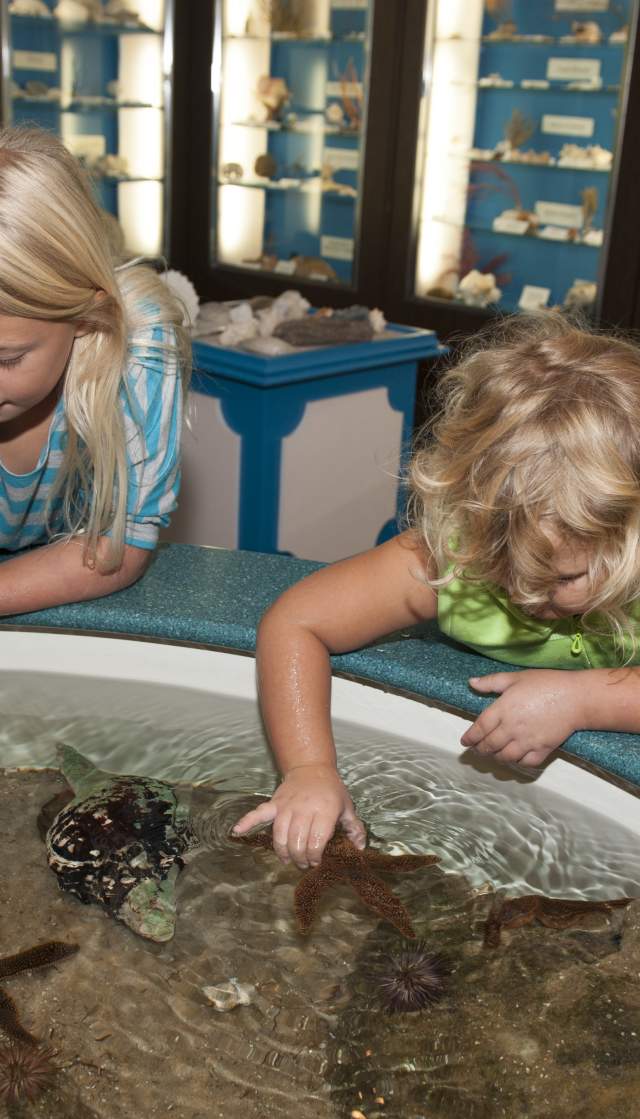 Children at the touch tank at the Museum of Coastal Carolina on Ocean Isle Beach