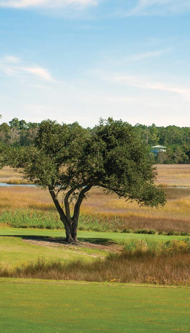 Foursome on Rivers Edge Golf Club's 9th green.