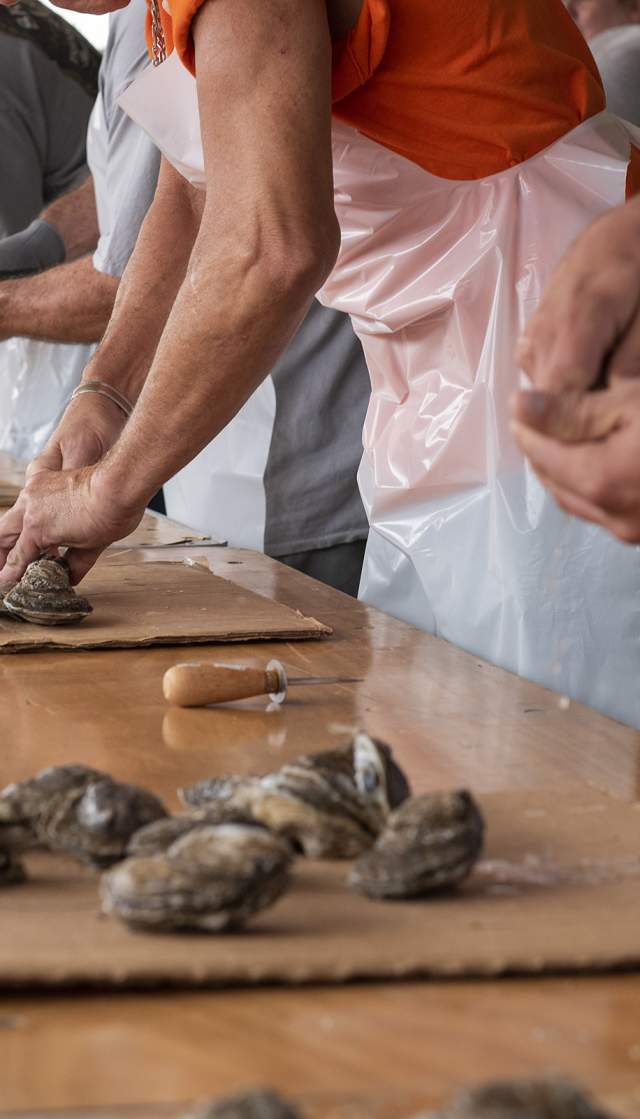 Oyster Shucking Contest at NC Oyster Festival in Shallotte, NC