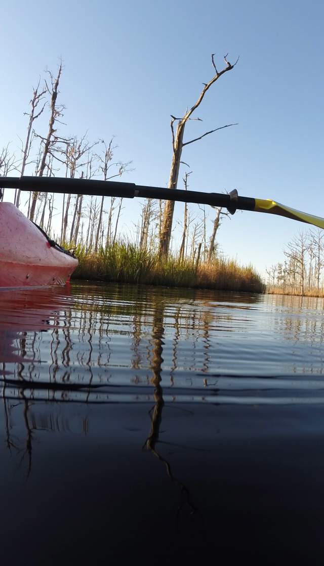 Brunswick Nature Park