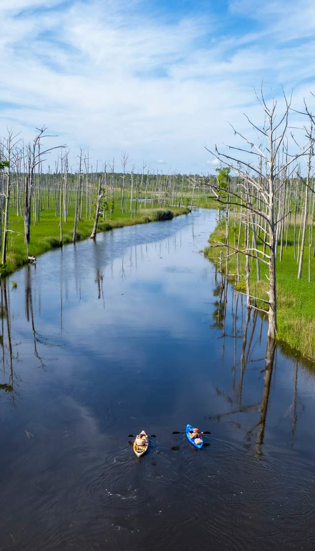 an aerial view of two kayaks on a river