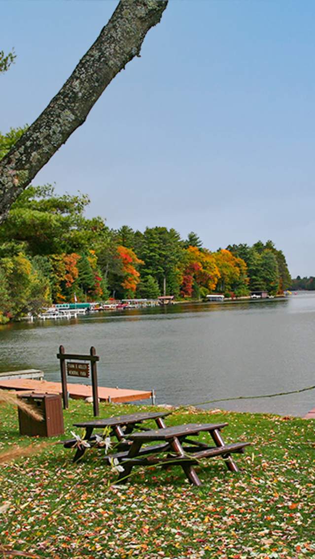 koller park beach