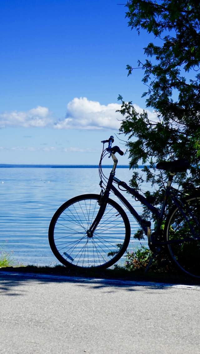 A Bicyclist's Dream