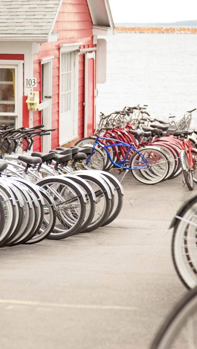 Bike Rentals