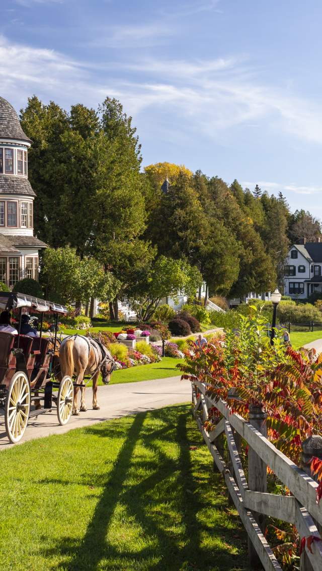 Private Carriage Tour-East Bluff