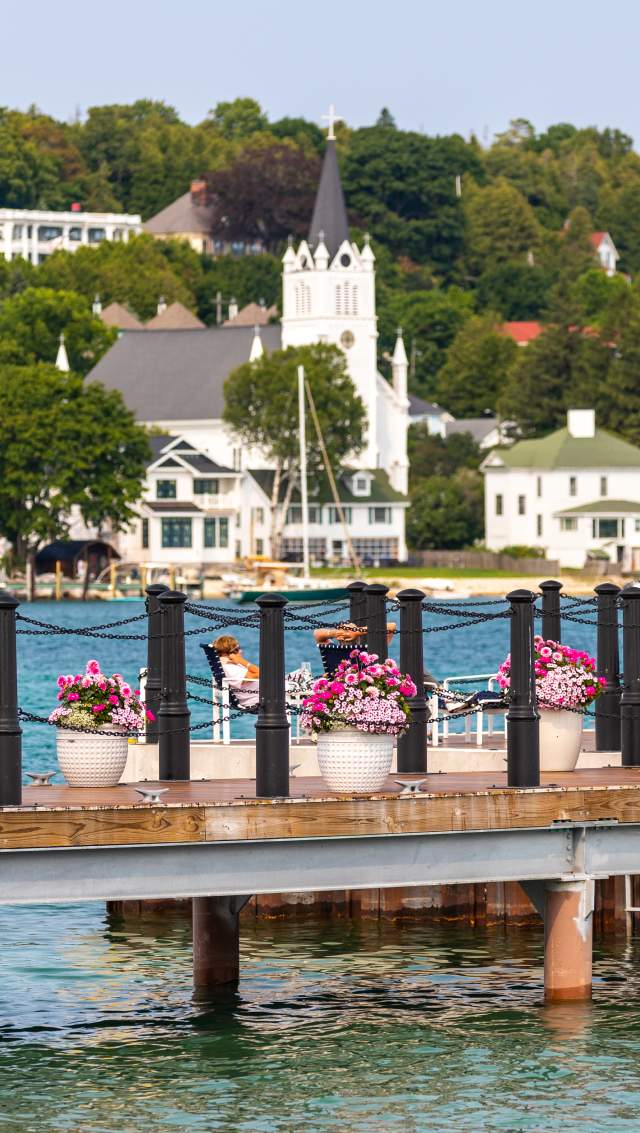 potted flowers along a dock