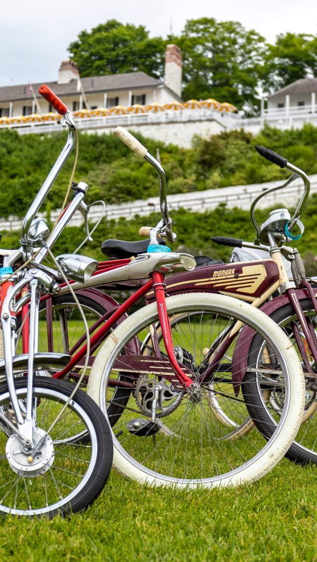 Vintage Bicycle Rally