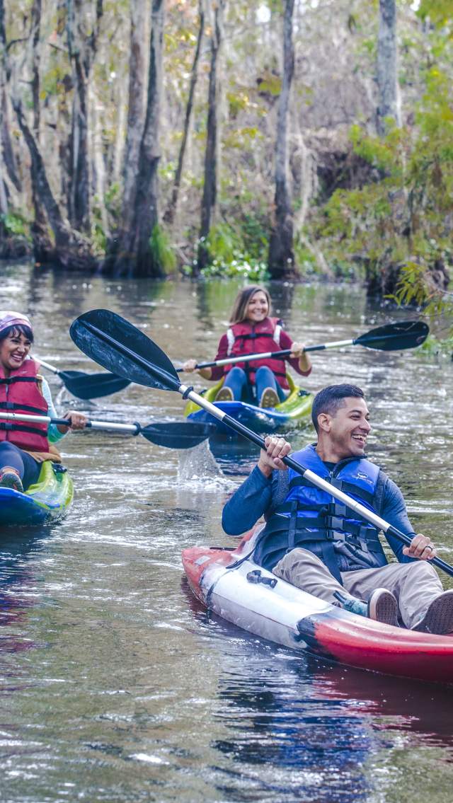 Four kayakers paddle through Honey Island Swamp on a Cajun Encounters kayak tour, surrounded by cypress trees and Spanish moss