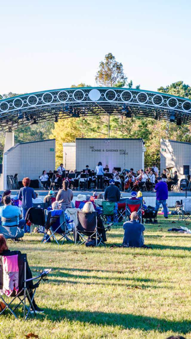 Bayou Jam Concert Series