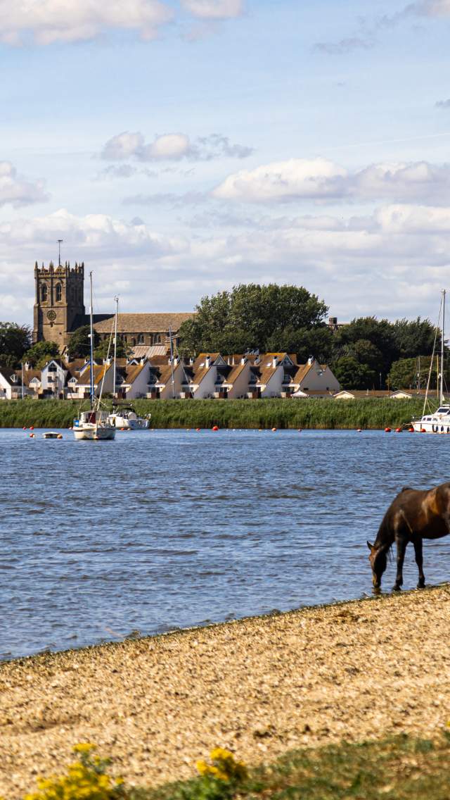 Horse drinking from the river with Christchurch Priory in the background