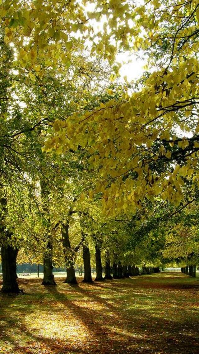 Coventry Parks
