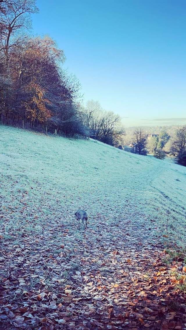 Sherborne frosty landscape