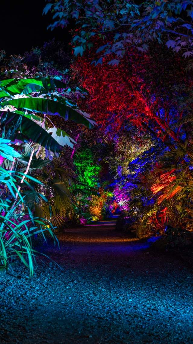 Illuminate at Abbotsbury Subtropical Gardens
