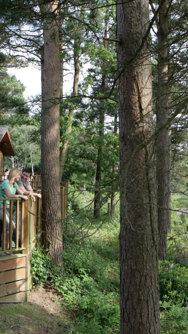 Wooden Lodge in the woods at Parkdean Resorts Warmwell