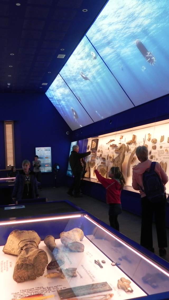 Inside the Etches Collection: Museum of Jurassic Marine Life in Kimmeridge, Dorset