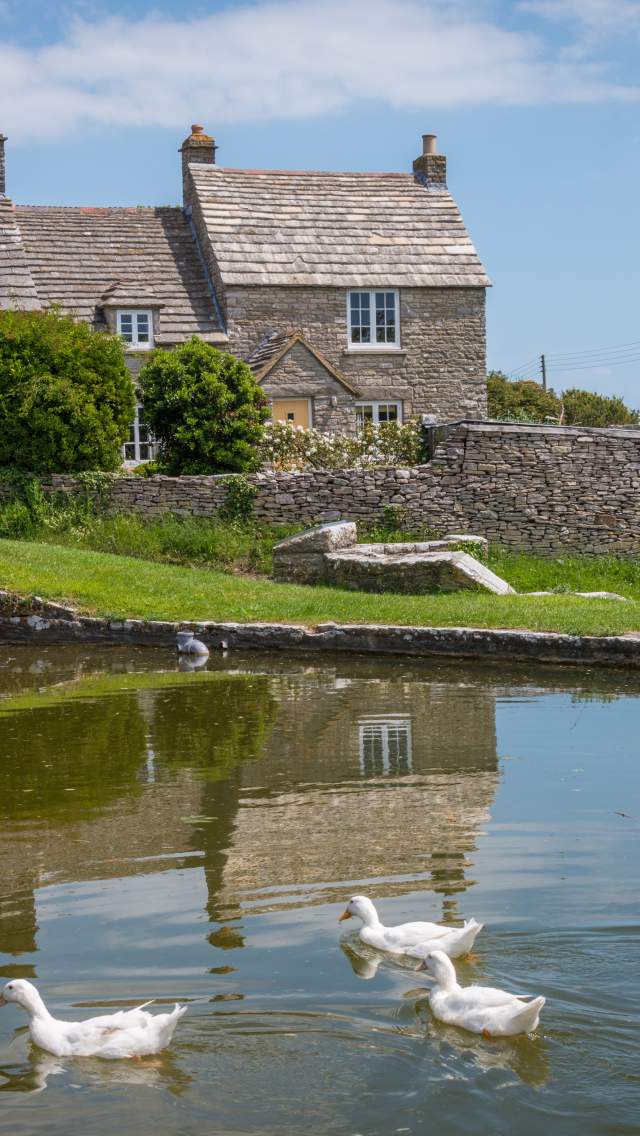 Worth Matravers duck pond, Dorset credit Diana Jarvis