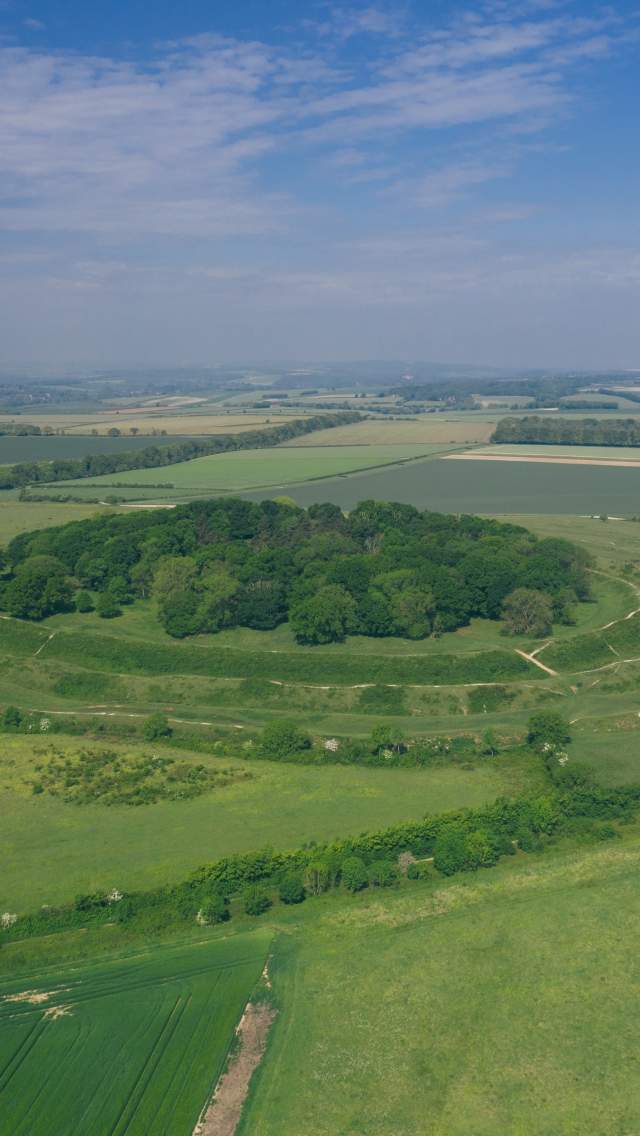 Badbury Rings near Wimborne Dorset