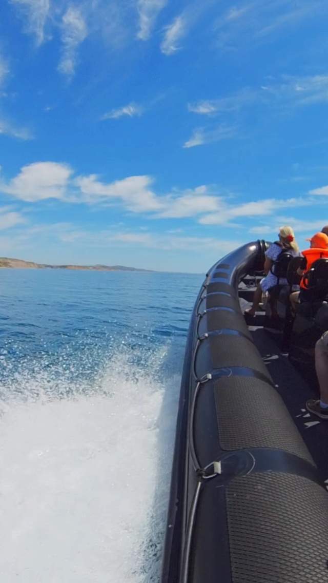 Thrill and Chill Lyme RIB ride