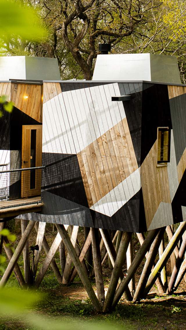 Dazzle Treehouse at Mallinson's Woodland Retreat, Dorset