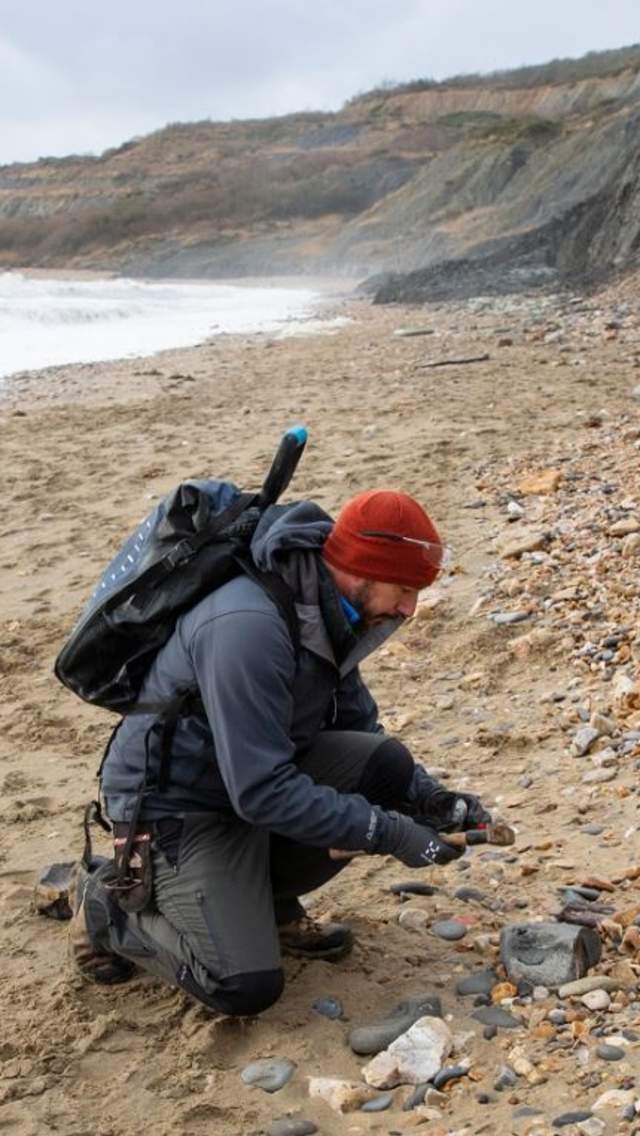 Jurassic Coast Guides hunting for fossils on Charmouth's pebble beach in Dorset