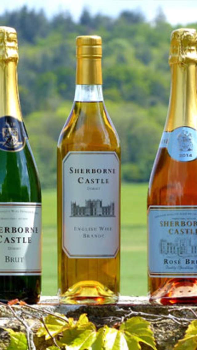 Sherborne Castle Wine